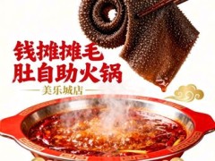 钱摊摊毛肚自助火锅(美乐城店) - 自助餐热度榜第4名