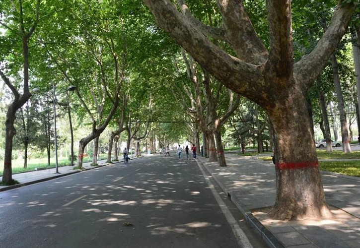 河北工程大学 校园图集预览 2